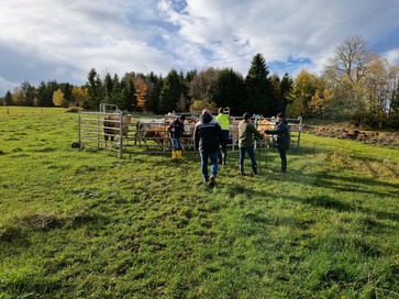 [1769672450401837.jpg]