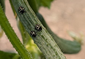 [1769676227061918.jpg]