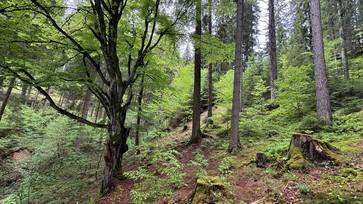 [1770097775569792.jpg]