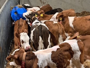 [1770194670586337.jpg]