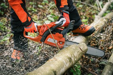 [1770373185834146.jpg]