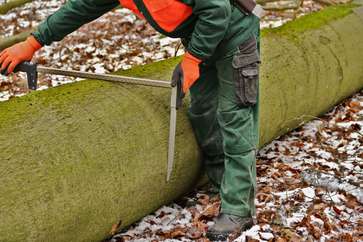 [1770373197146814.jpg]