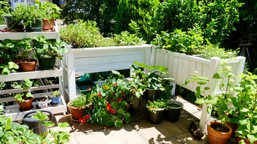 [1770642632850278.jpg]