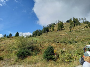 [1770726390332466.jpg]