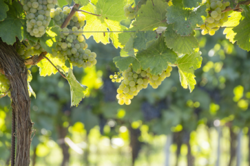 [1770731048127977.png]