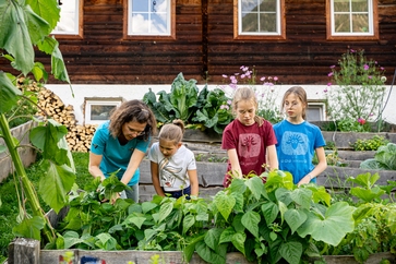 [17708195519459.jpg]