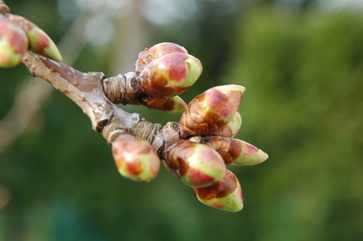 [1770987214575741.jpg]