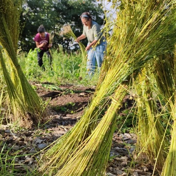 [1770987238463157.jpg]