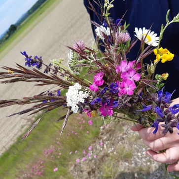 [1770987260009958.jpg]