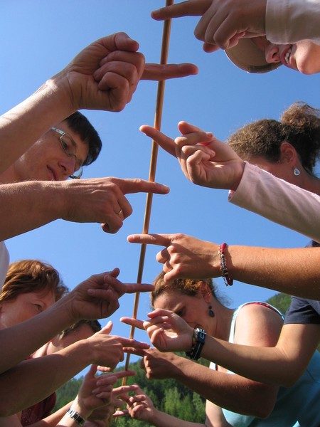 NLF(c)LFI.jpg NLF(c)LFI.jpg