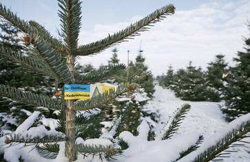 [177141070721323.jpg]