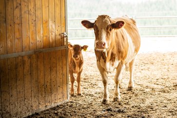 [1772022393732295.jpg]