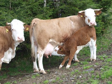 [1772022815683368.jpg]