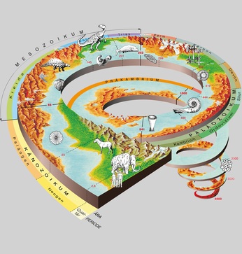 [1772455050218241.jpg]