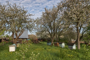 [1772455435270182.jpg]