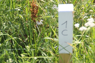 [1772461749135170.jpg]