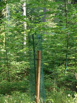 [1772527953866281.jpg]