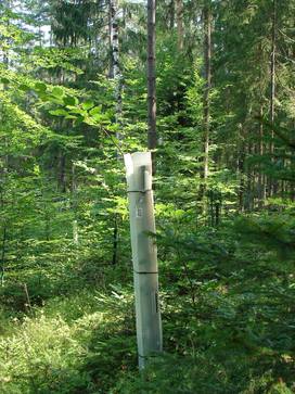 [1772528380770487.jpg]