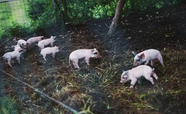 [1773055774732968.jpg]