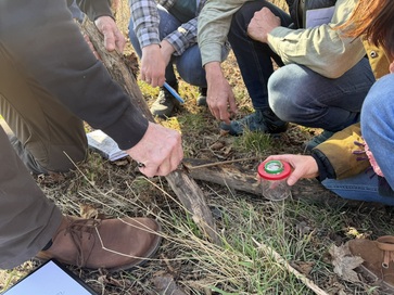 [1773129792463972.jpg]