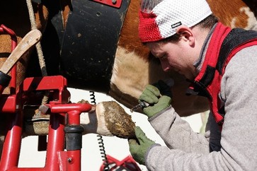 [1773323852122628.jpg]