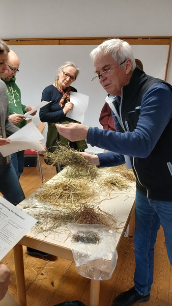 Fuetterung ZLG Schaf1(c) LFI.jpg Fuetterung ZLG Schaf1(c) LFI.jpg