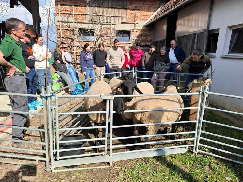 Exkursion (c) Zeiler.jpg Exkursion (c) Zeiler.jpg