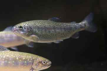 [1773667189980399.jpg]