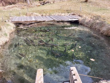 [1773667235892639.jpg]