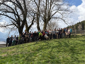 [1773668445827964.jpg]