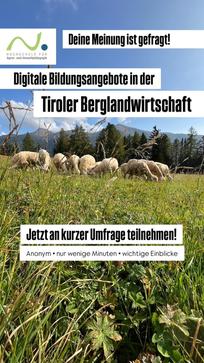 [1773839962459864.jpg]