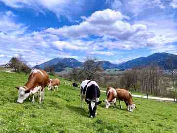 [1774270611832221.jpg]