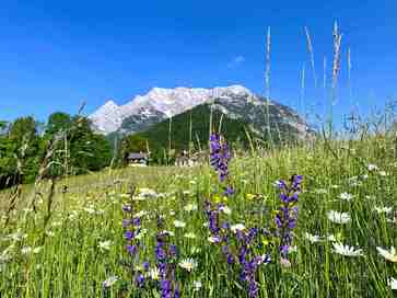 [1774270614186368.jpg]