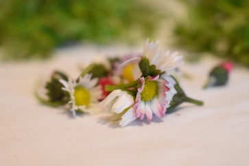 [1774338969047349.jpg]