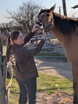 [1774349440269672.jpg]