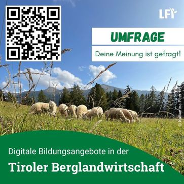 [1774424288379879.jpg]