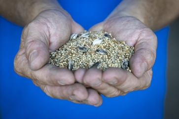 [177444217079462.jpg]