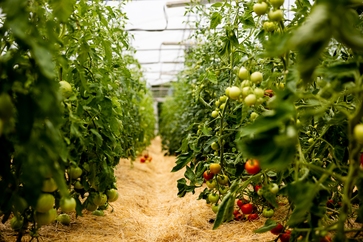 [177444245005989.jpg]