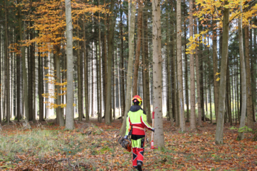 [1774443369218754.png]