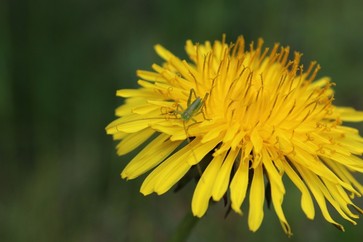 [1774446838186361.jpg]