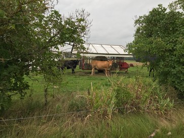 [1774447490596470.jpg]