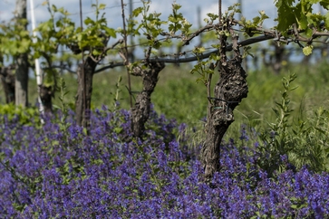 [1774517591782763.jpg]