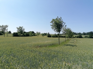 [177452793016263.jpg]