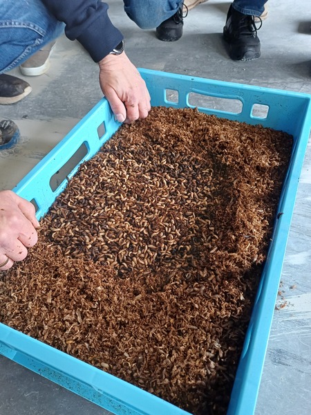 Bildungsreise der Innovations- und Betriebswirtschaftsberater:innen 2026.jpg