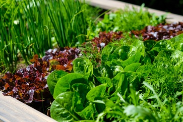 [1775027800119840.jpg]