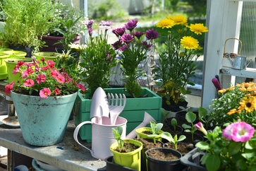 [1775027856869699.jpg]