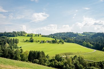 [1775046491061889.jpg]