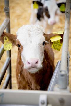 [1775047152363263.jpg]