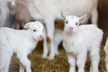 [1775543501314540.png]