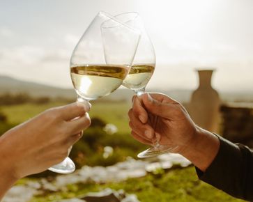 [1775630459994845.jpg]